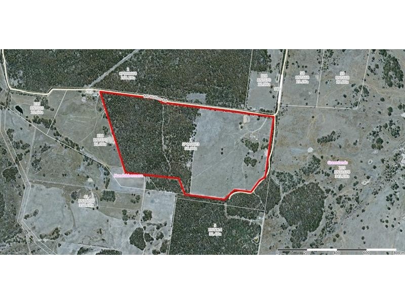 Lot 1 Mt Hutton Road, Greenlands QLD 4380
