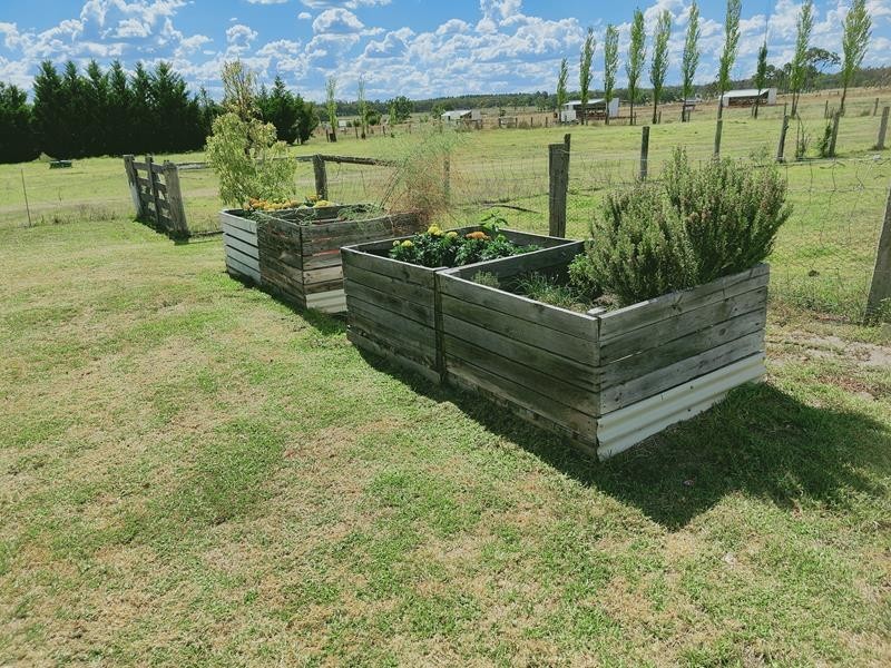 496 Texas Road, Stanthorpe QLD 4380