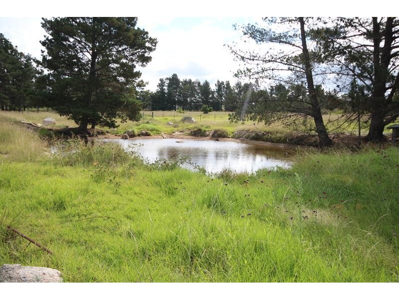 12 Deveney Lane, The Summit QLD 4377