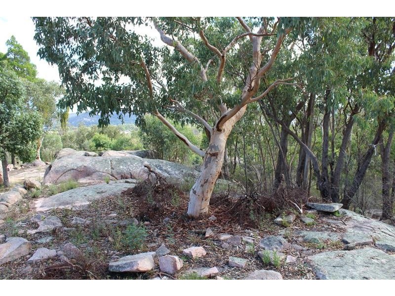 29 Brunckhorst Avenue, Stanthorpe QLD 4380