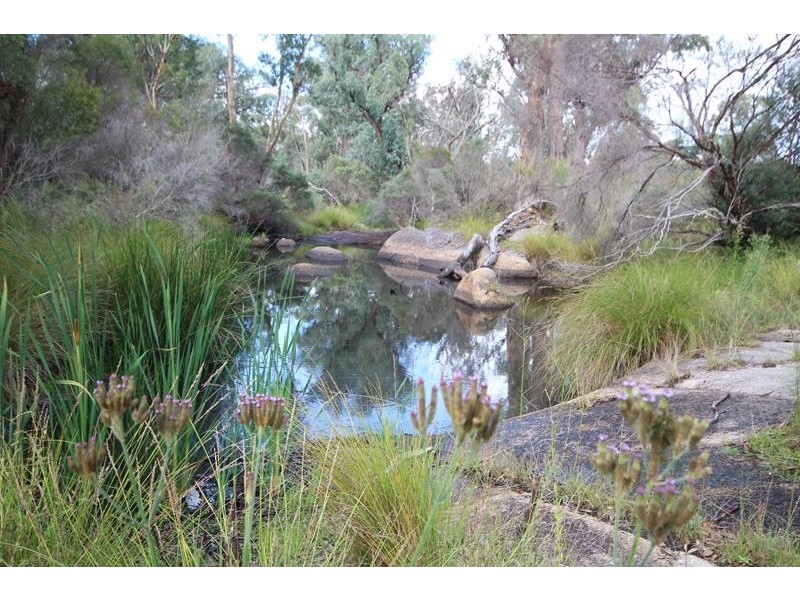 162 Jollys Falls Road, The Summit QLD 4377