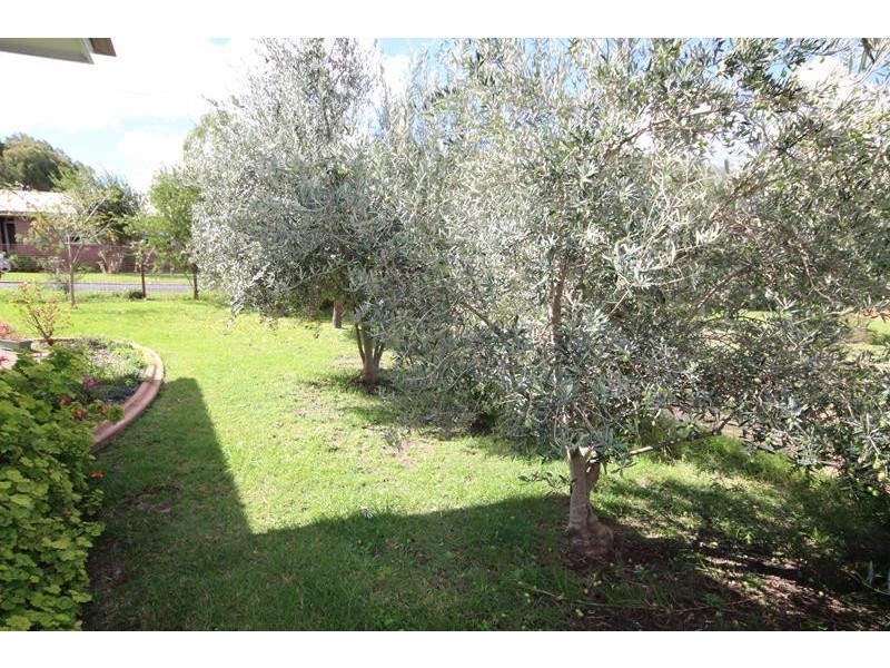 53 Hoult Street, Stanthorpe QLD 4380