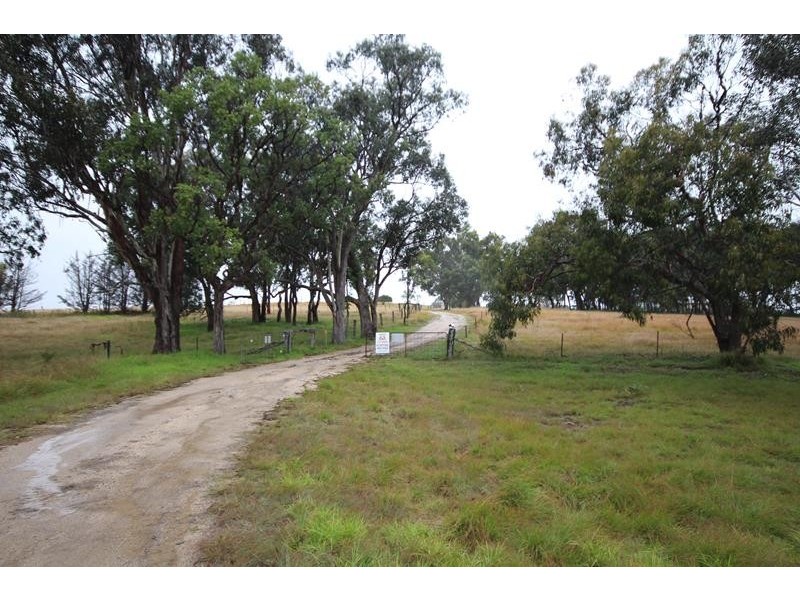 1177 Black Swamp Road, Tenterfield NSW 2372