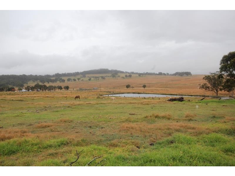 1177 Black Swamp Road, Tenterfield NSW 2372