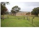 1177 Black Swamp Road, Tenterfield NSW 2372