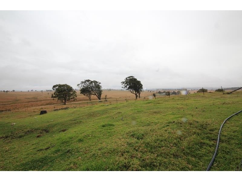 1177 Black Swamp Road, Tenterfield NSW 2372