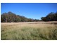 145 Kelly Road, Applethorpe QLD 4378