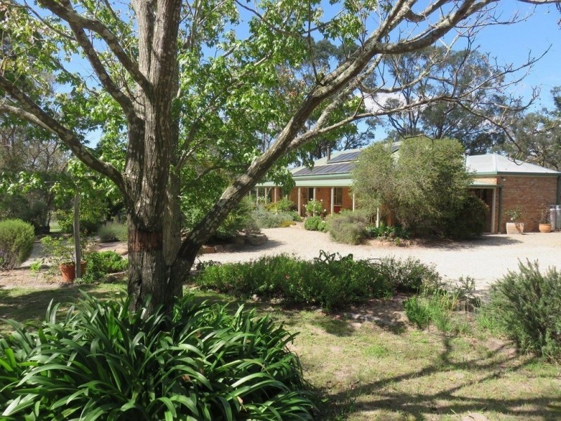 645 Amiens Road, Stanthorpe QLD 4380