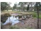 261 Spring Creek Road, Greenlands QLD 4380
