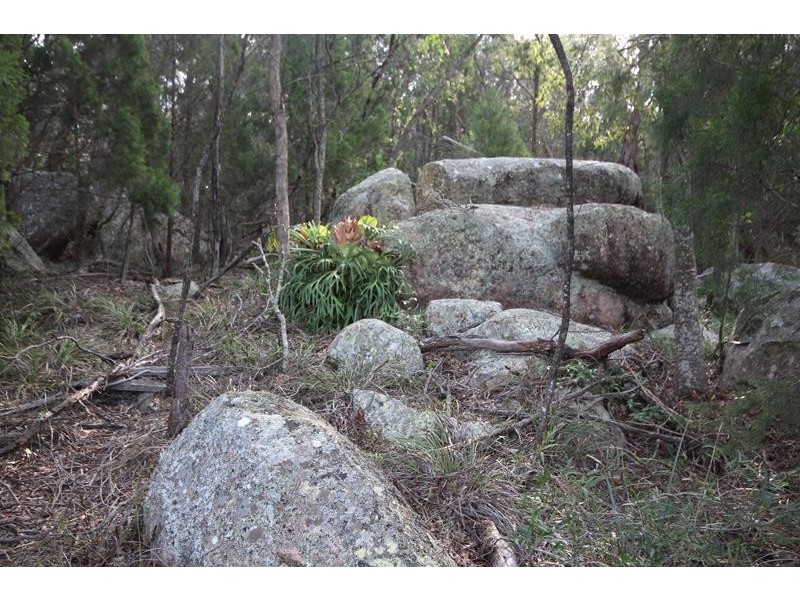 261 Spring Creek Road, Greenlands QLD 4380