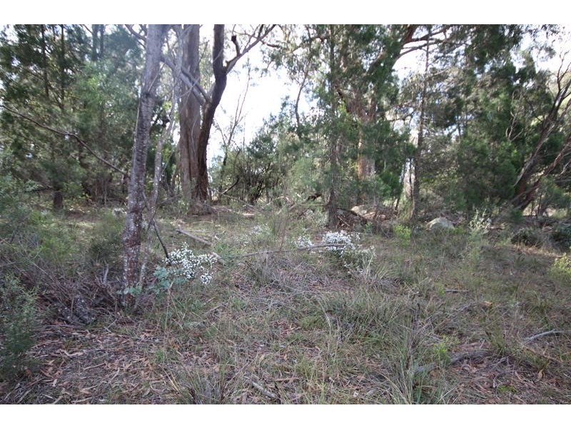 261 Spring Creek Road, Greenlands QLD 4380