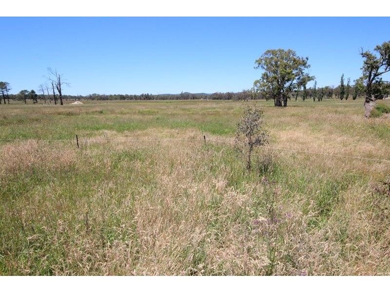 14 Hopgood Lane, The Summit QLD 4377