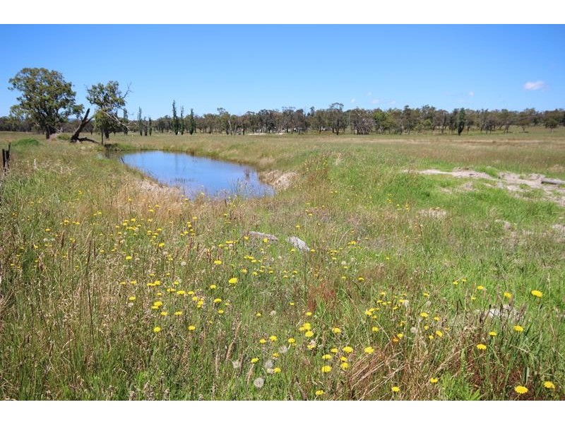 14 Hopgood Lane, The Summit QLD 4377