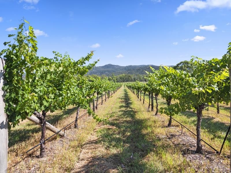 695 Bents Road, Ballandean QLD 4382