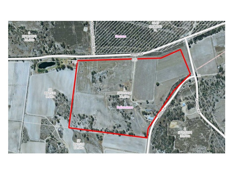 695 Bents Road, Ballandean QLD 4382