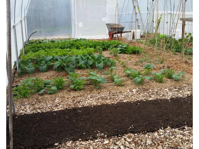 82 Clark Lane, Broadwater QLD 4380