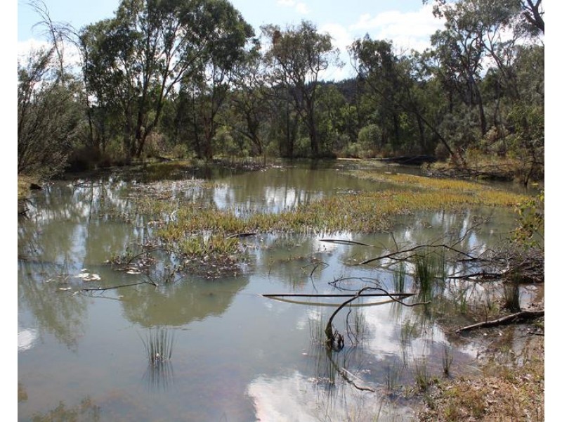 2574 Eukey Road, Ballandean QLD 4382