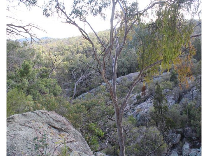 2574 Eukey Road, Ballandean QLD 4382