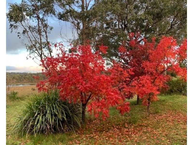 633 Eukey Road, Storm King QLD 4380