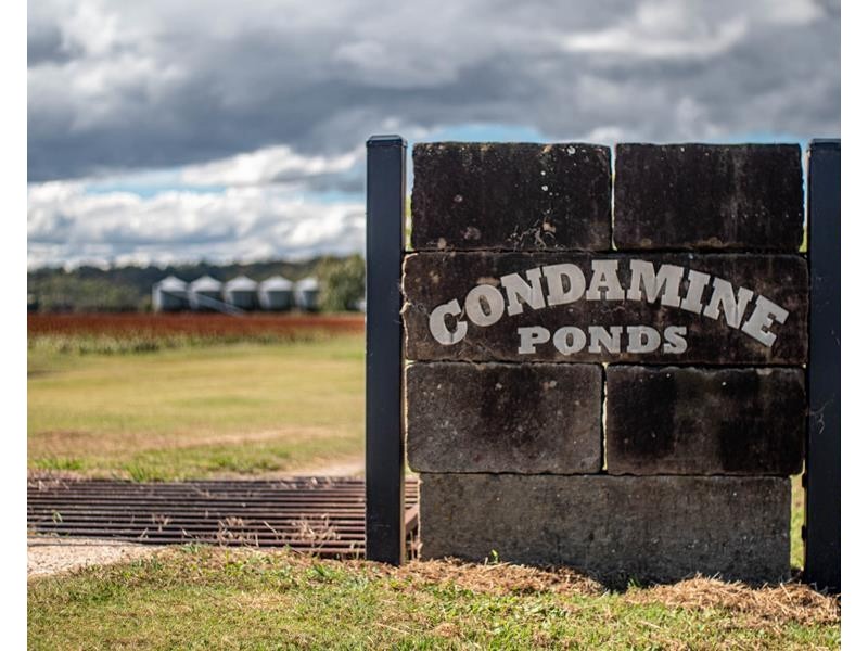 195 Wickham Road, Murrays Bridge QLD 4370