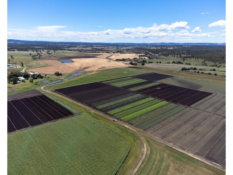 195 Wickham Road, Murrays Bridge QLD 4370