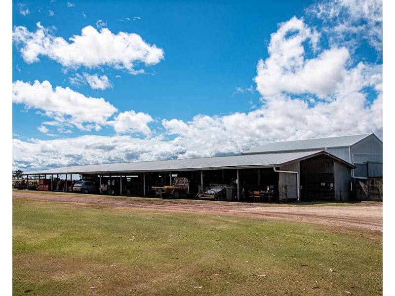 195 Wickham Road, Murrays Bridge QLD 4370