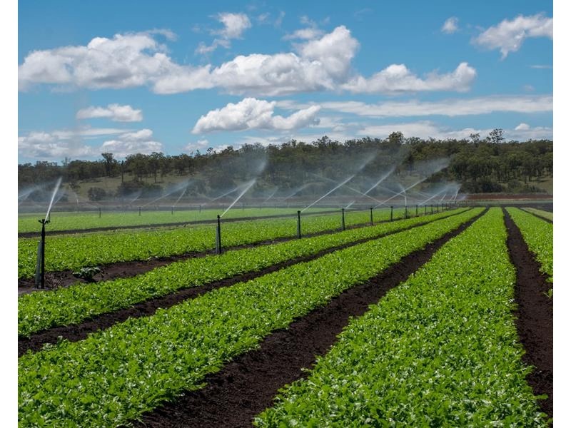 195 Wickham Road, Murrays Bridge QLD 4370