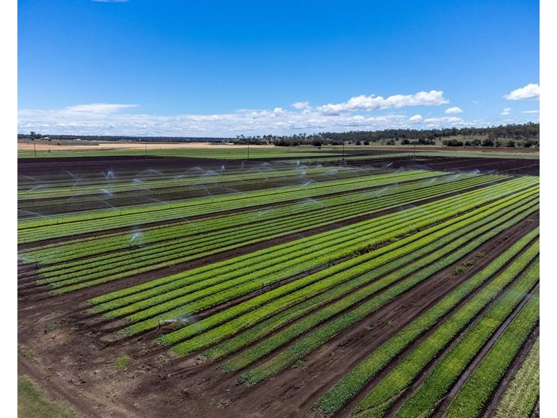 195 Wickham Road, Murrays Bridge QLD 4370