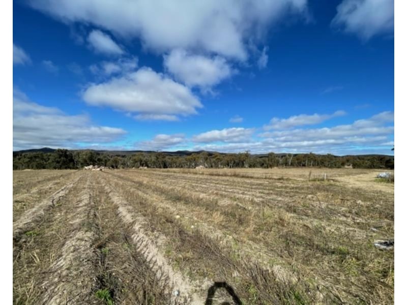 827 Thorndale Road, Glen Aplin QLD 4381