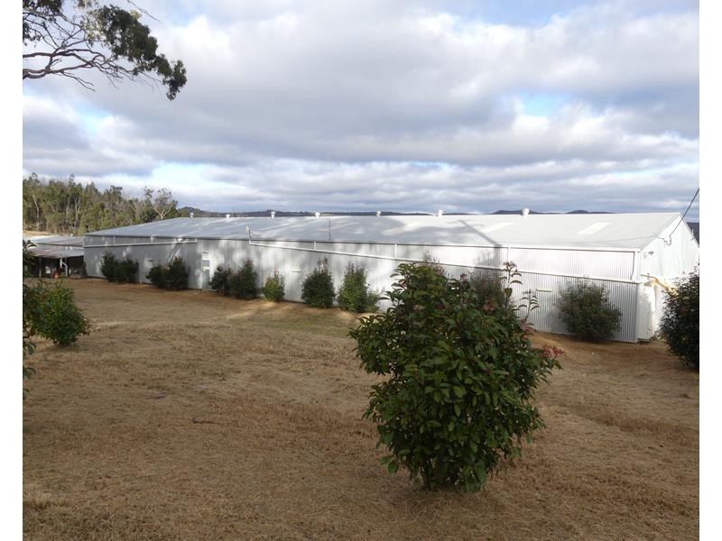 827 Thorndale Road, Glen Aplin QLD 4381