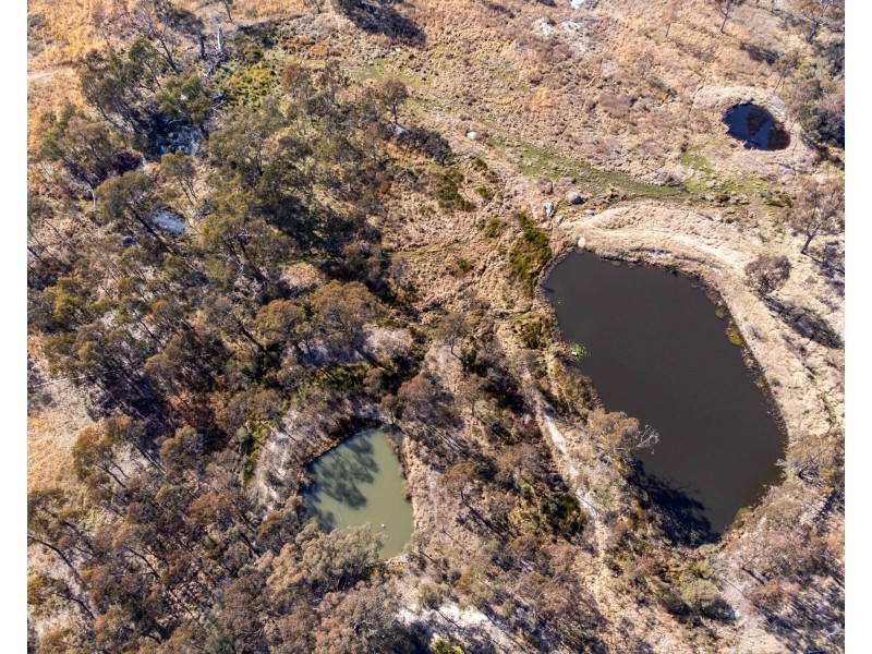 146 Elks Lane, Greenlands QLD 4380