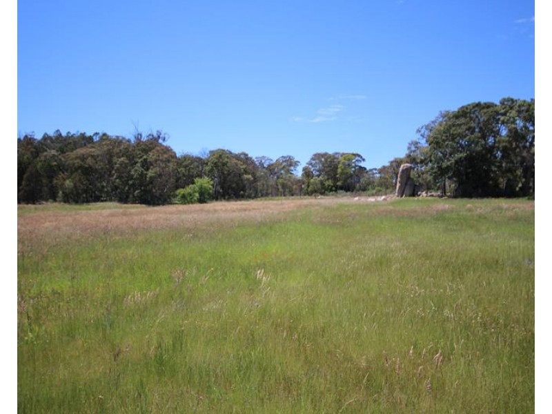 1228 Amiens Road, Amiens QLD 4380