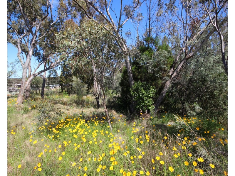 Lot 2 Calvert Road, Glen Aplin QLD 4381