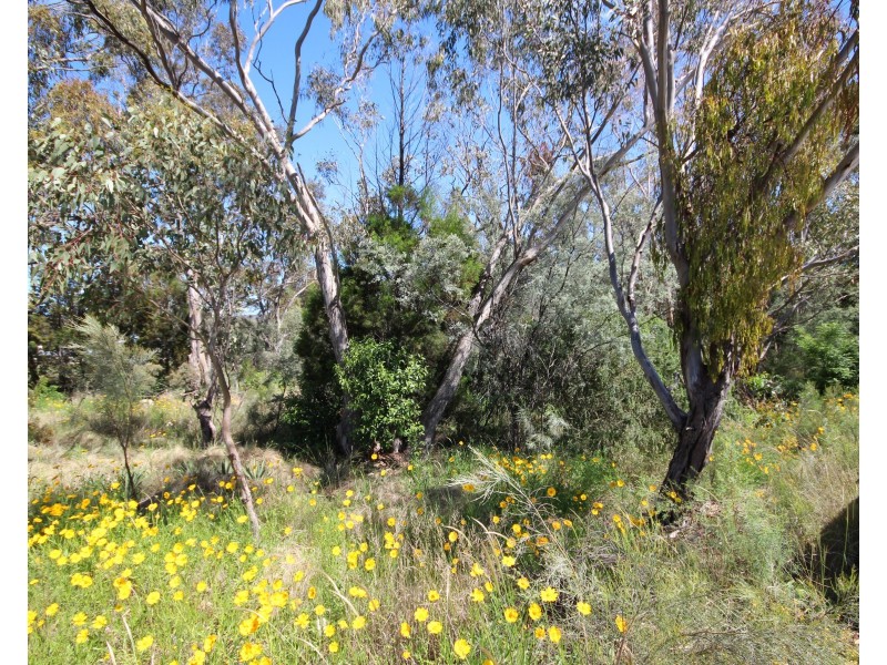 Lot 2 Calvert Road, Glen Aplin QLD 4381