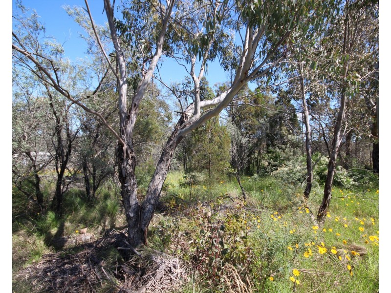 Lot 3 Calvert Road, Glen Aplin QLD 4381