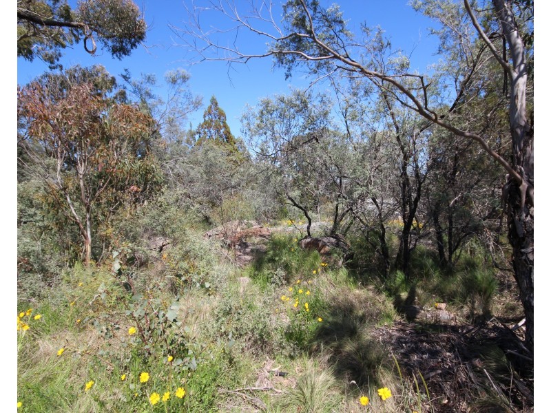 Lot 3 Calvert Road, Glen Aplin QLD 4381