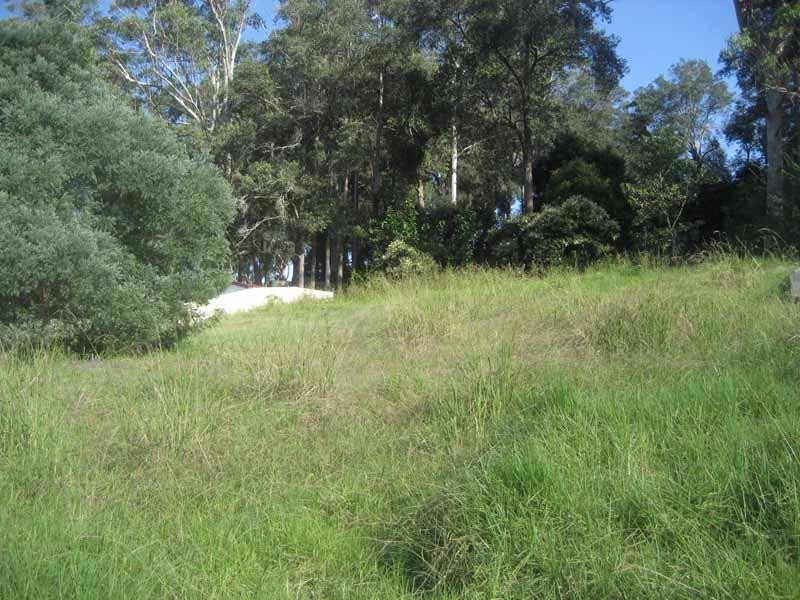 Lisarow NSW 2250