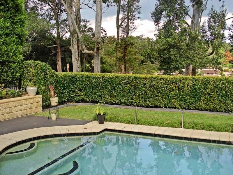 48 Woodview Avenue, Lisarow NSW 2250