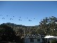 Narara NSW 2250