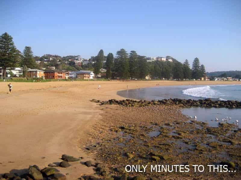17 Avoca Drive, Avoca Beach NSW 2251