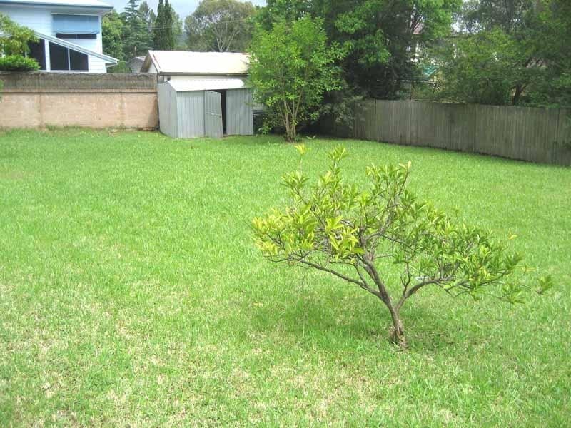 10 Ronald Ave, Wyoming NSW 2250