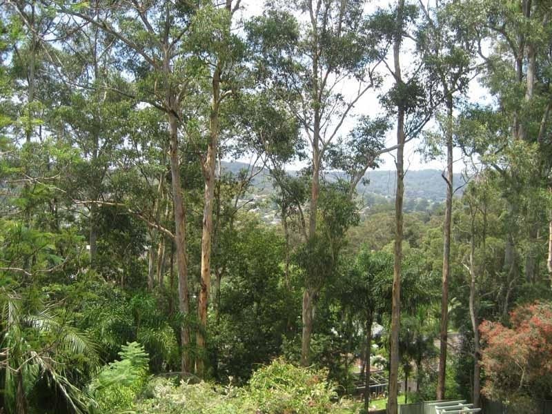 88  Berrys Head Road, Narara NSW 2250