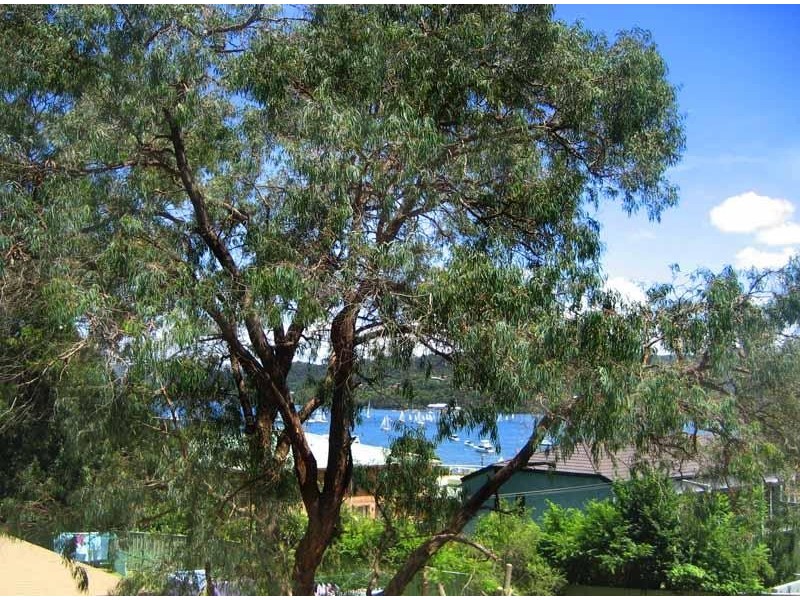 14/9 Broadview Avenue, Gosford NSW 2250