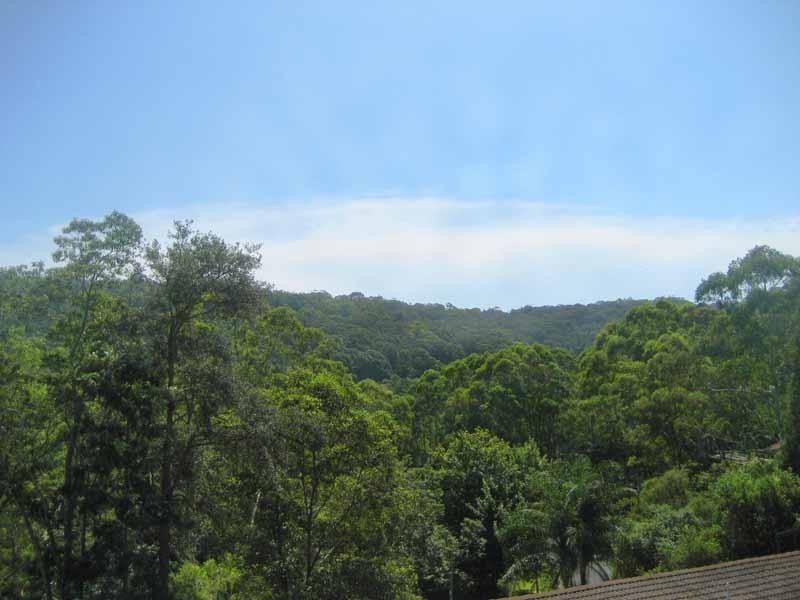 50 MANGROVE ROAD, Narara NSW 2250