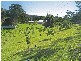 15  Bullock Road, Ourimbah NSW 2258
