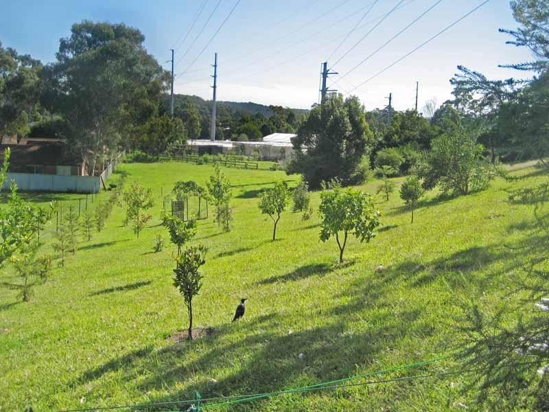 15  Bullock Road, Ourimbah NSW 2258