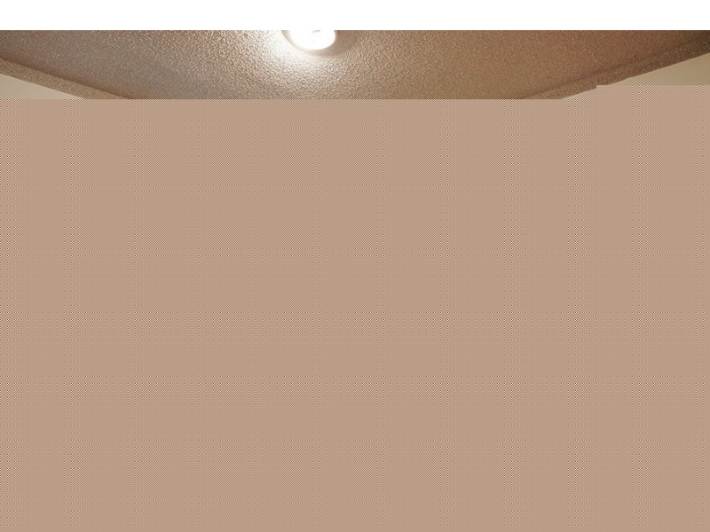 16/127-131 Burns Bay Road, Lane Cove NSW 2066