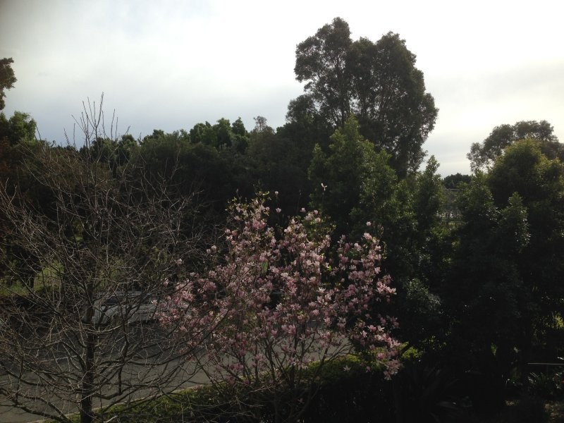 100 William Street, Five Dock NSW 2046