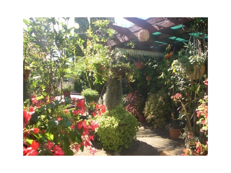 Ettalong Beach NSW 2257