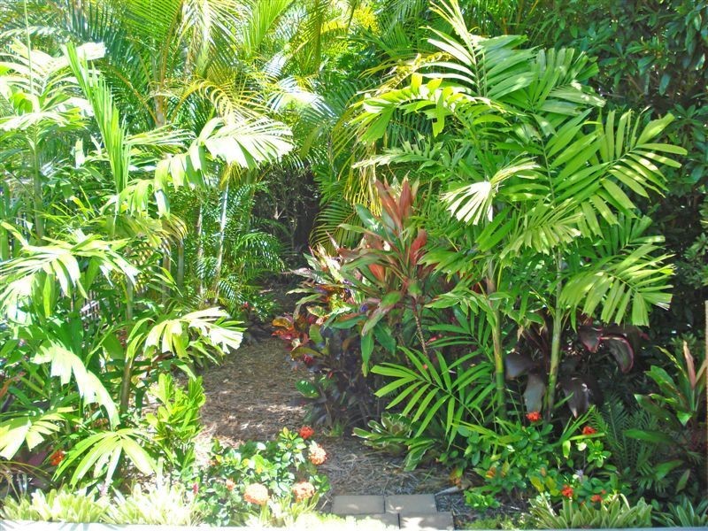 14 Canterbury Chase, Ashmore QLD 4214